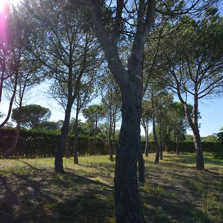 Torrent 10 Km Lloret De Mar Holiday home *